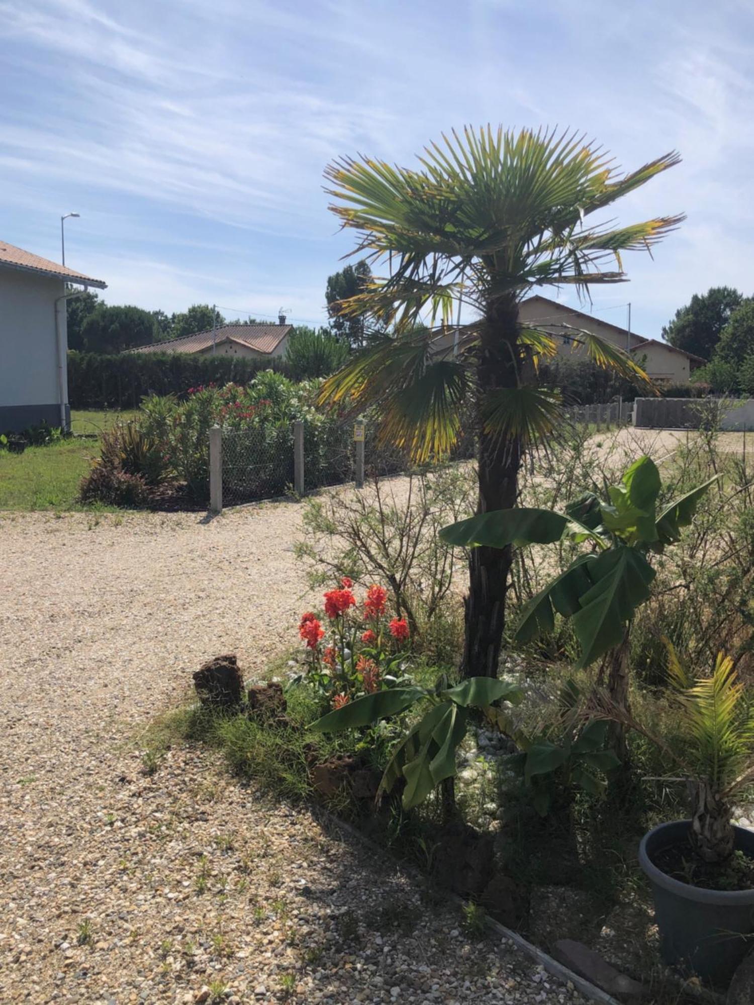 "Les Logis D'Argent" Chambre D'Hote Avec Wc, Sdb, Tv, Wifi, Option Petit Dejeuner , Parking Mimizan-Plage Kültér fotó